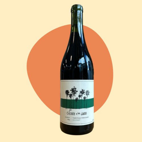 Scar of the Sea SLO Coast Gamay Noir