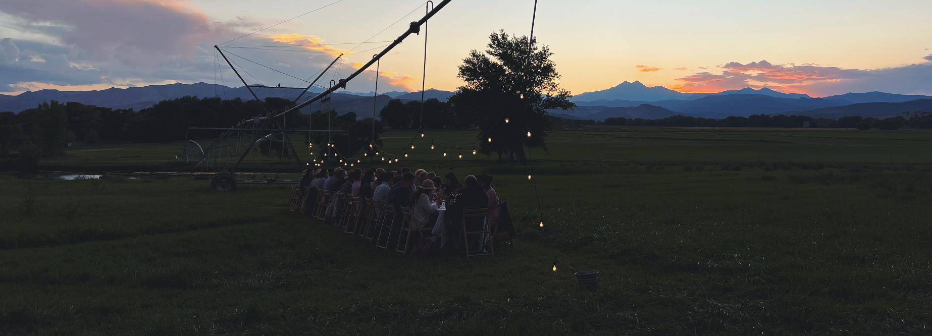 Meadowlark Wines Sundry