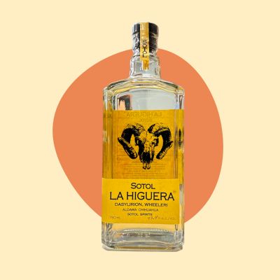 Sotol la Higuera Wheeleri